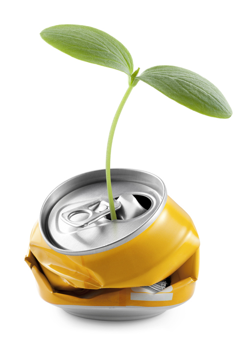 [sprout from a can]