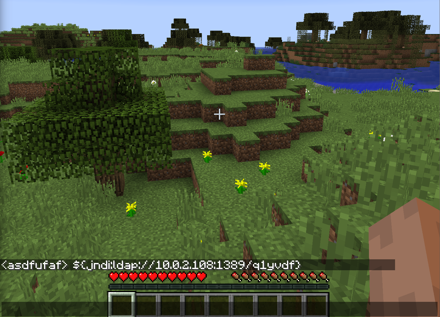 View of the Minecraft game and exploit code