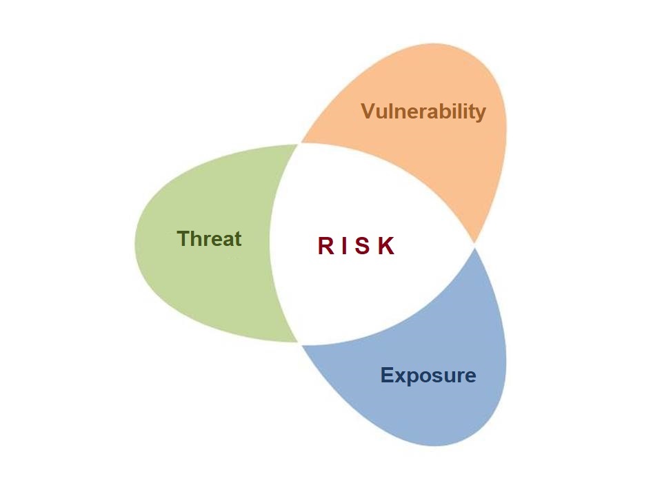 Risk components 